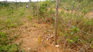 Terreno 30X70 2.100 MT. Escriturado Barato — foto 6