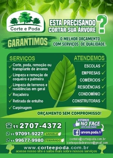 Corte e Poda de Arvore em São Paulo e ABC