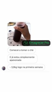 Emagrecer PRO - ebook completo para um emagrecimento eficaz — foto 8