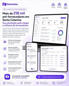 Dommino - Orçamentos mais simples. Decisões mais inteligentes. — foto 4