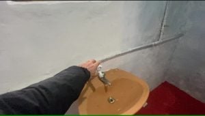 Casa 2 cômodos vendo barato em Juquiá reformada elétrica hidráulica pintura aceito carro — foto 11