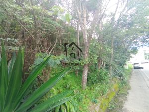 Terreno para Venda em Juiz de Fora, Santo Antônio, 1 dormitório, 1 suíte, 19 vagas — foto 4