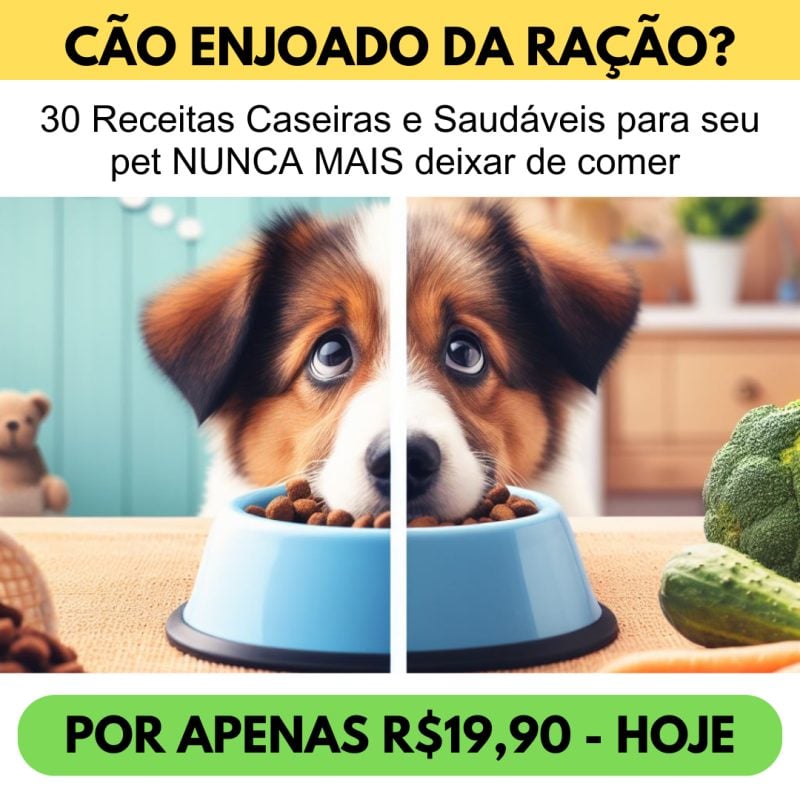30 receitas saudáveis para seu pet