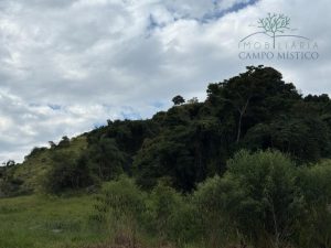 Vendo sítio/chácara em Bueno Brandão MG 4,51 ha 45.100 m² ótimo acesso direto com proprietár — foto 16