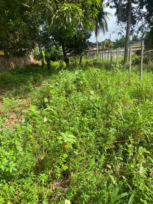02 lotes 200² cada em Aldeia Camaragibe Km10