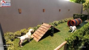 Lançamentos para Venda em Olinda, Jardim Atlântico, 2 dormitórios, 1 banheiro, 1 vaga — foto 7