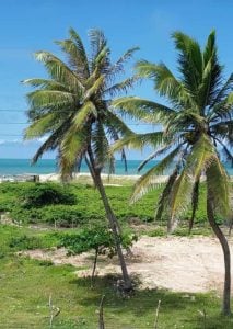 Lotes Frente Mar no RN - Ideal para Investimento, Turismo e Projeto de Praia — foto 7
