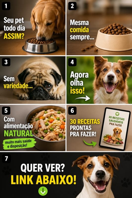30 receitas saudáveis para pet