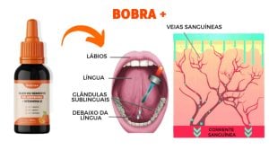 Bobra + — foto 3