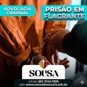 Defesa em Processos Criminais e Júri — foto 5
