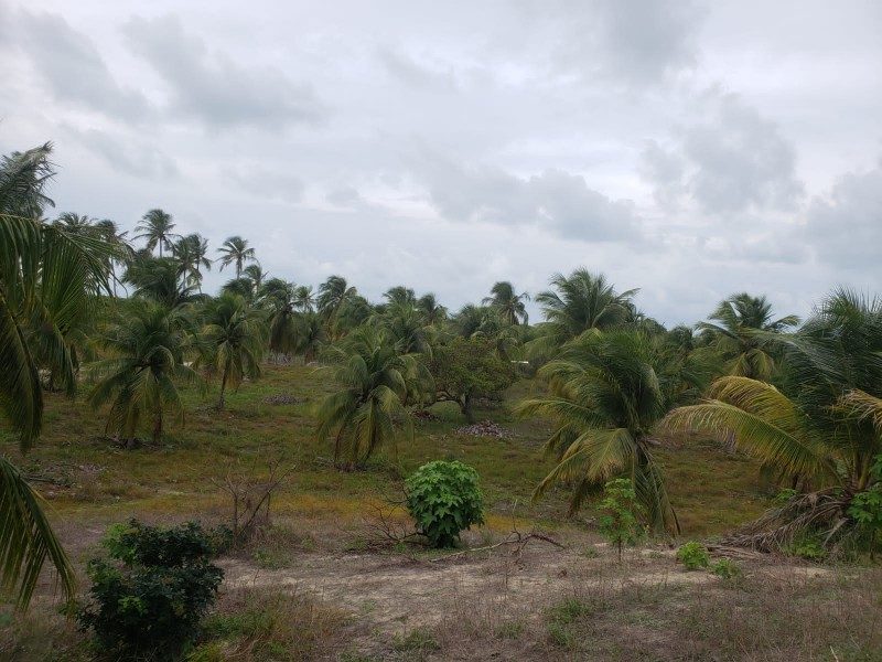 Terreno a venda vizinho a praia do Preá e Jericoacoara
