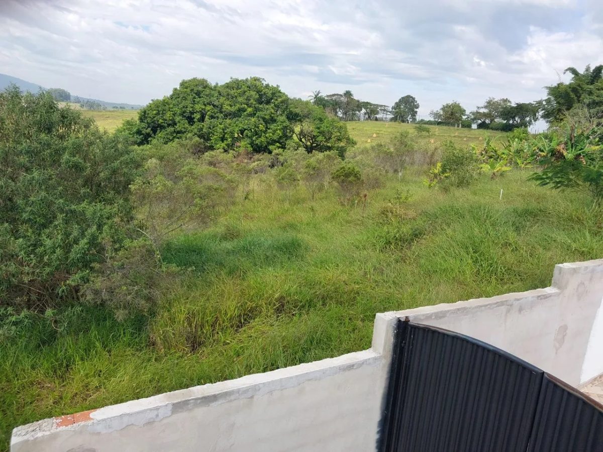 TERRENO DE 1.000 m² COM ENERGIA — foto 2