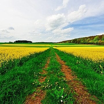 Assessoria Jurídica para Agro negócio — foto 2