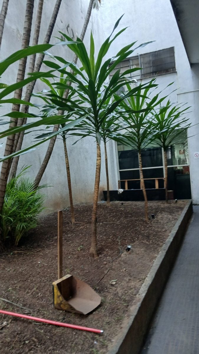 Jardinagem — foto 2