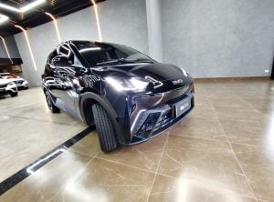BYD Dolphin Mini 2026 GS 5 Lugares — foto 8