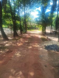 Chácaras Versalhes — foto 4