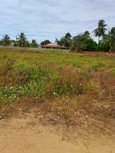 Terreno 650m Na Caueira — foto 3