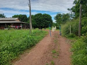 Chácara Bela vista — foto 4