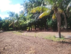 Chácaras Versalhes — foto 5