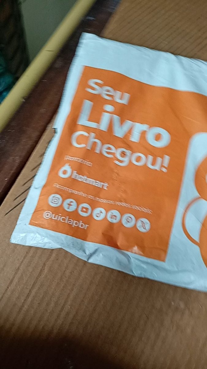 Livro ENTRE O DESEJO E O PECADO — foto 2