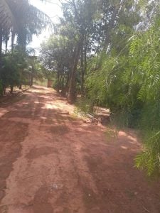 Chácaras Versalhes — foto 9