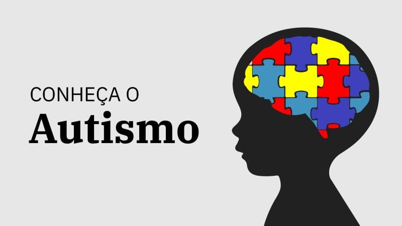 Guia Do Dia A Dia De Um Autista