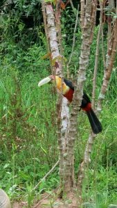Terrenos a venda — foto 6