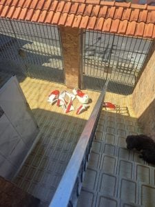 Falcon 400 2002 — foto 13