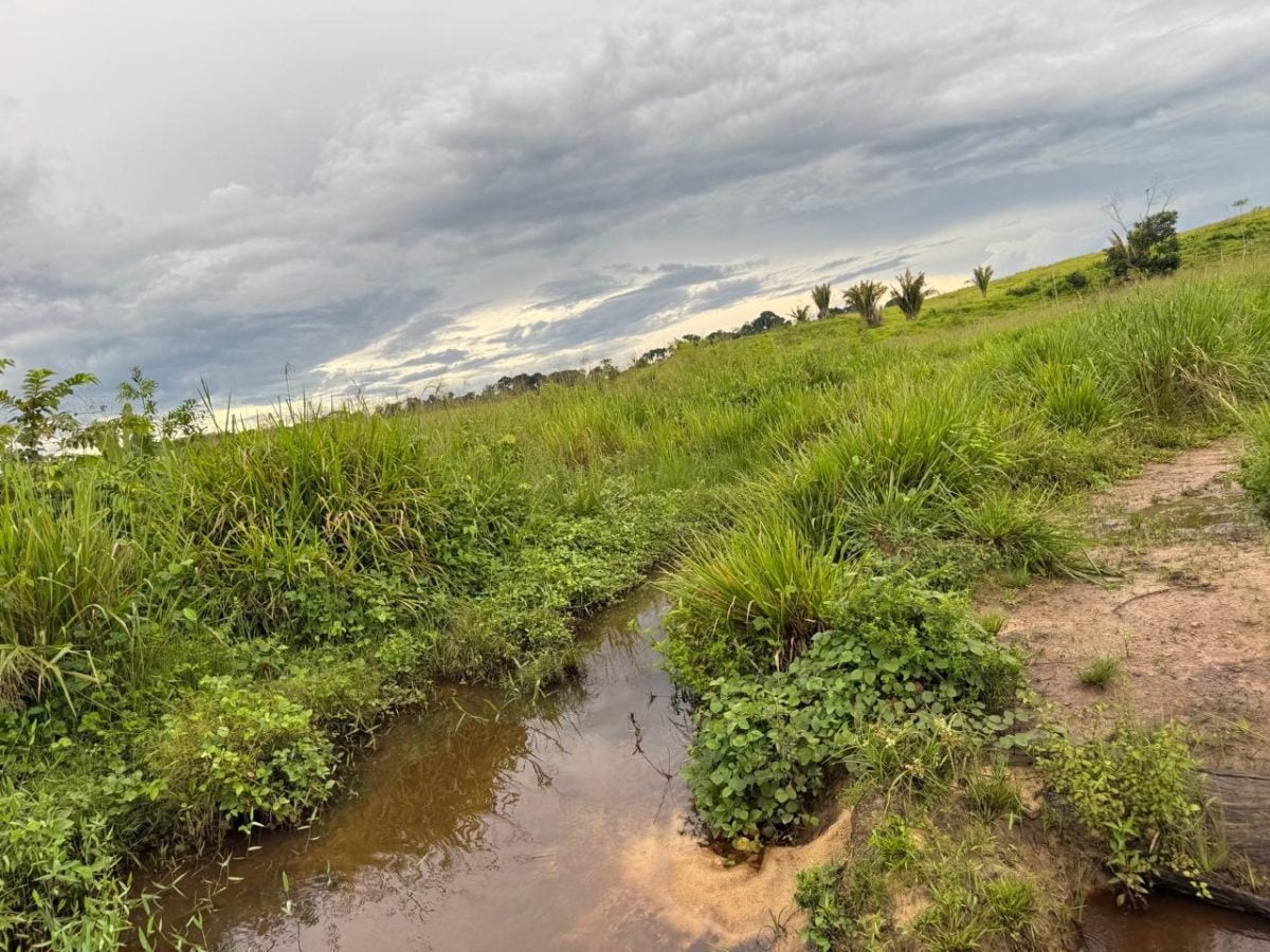 Propriedade Rural à Venda — foto 2