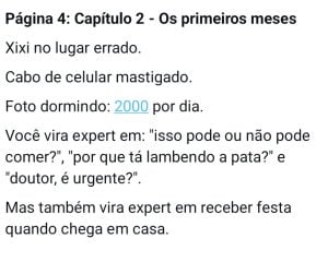 E-book sobre ser mãe de pet fiz inspirado na minha gata e pode ser legal para vc explorar — foto 5