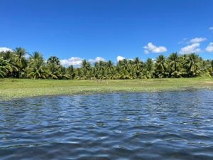 Lote na beira da barragem de Anagé — foto 3