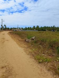 Terreno 650m Na Caueira — foto 5