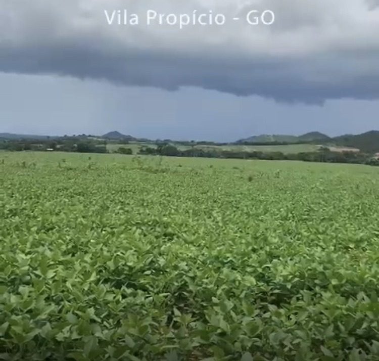Fazenda Município de Vila Propício GO 2.589,40 Hectares ou 535 Alqueires Goiano.