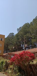 Apartamento em Itapetininga — foto 4
