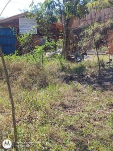Chácara norte de sjcampos — foto 9