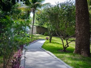 SITIO EM CONDOMINIO FECHADO 1.300m2 — foto 4