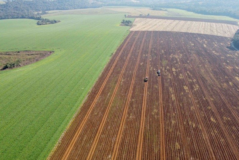 Assessoria Jurídica para Agro negócio