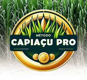 Um curso que visa potencializar a produtividade na pecuária
