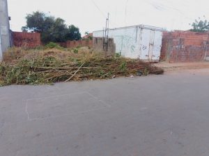 Pequenas Reformas e Limpeza de Terreno. — foto 7