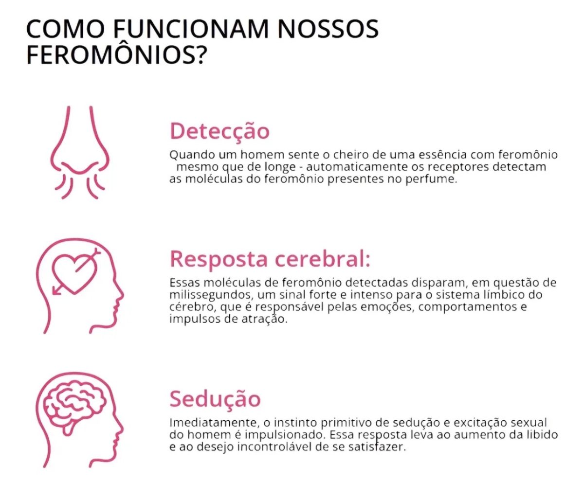 Atracione Feminino — foto 2
