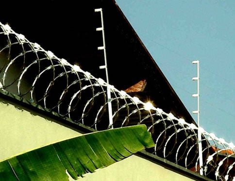 Cerca eletrica — foto 2