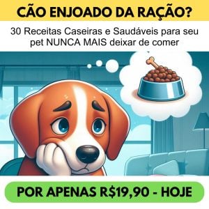 30 Receitas Caseiras Pet — foto 4