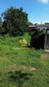 Oportunidade Imperdível: Terreno Em Parintins Amazônia — foto 4