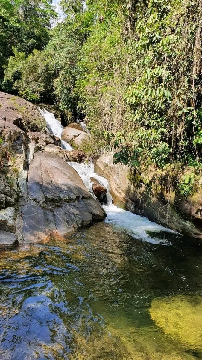 Sítio à venda na na região serrana do Rio de Janeiro — foto 2