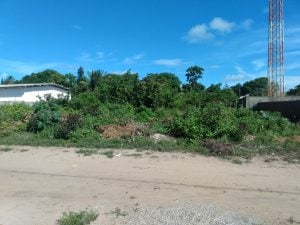 Terrenos de 15x30 cada. — foto 6