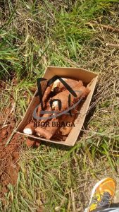 Chácara para Venda em Juiz de Fora, Caeté, 2 dormitórios, 1 banheiro, 1 vaga — foto 3