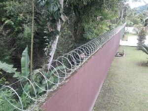 Concertina são sebastião — foto 4