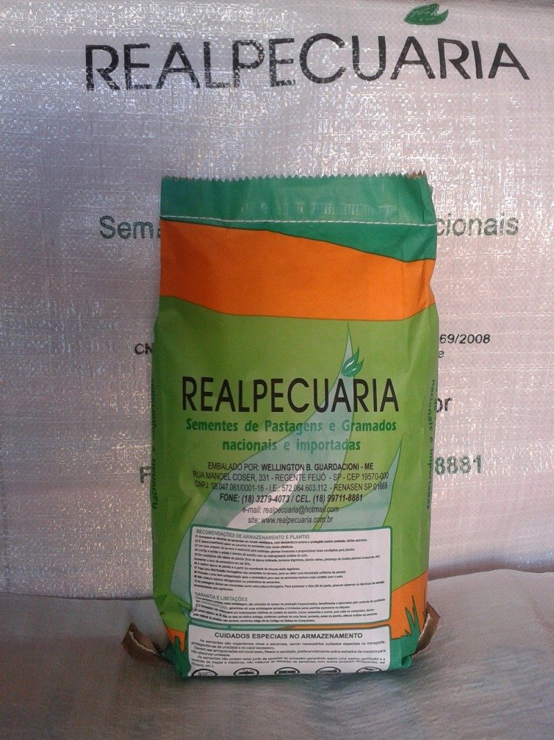 Sementes de Grama Pensacola — foto 2