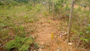 Terreno 30X70 2.100 MT. Escriturado Barato — foto 3