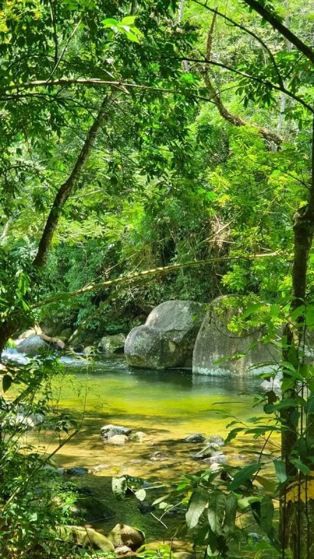 Sítio à venda na na região serrana do Rio de Janeiro